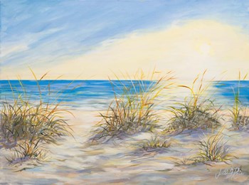 Coastal Sunrise by Julie DeRice art print