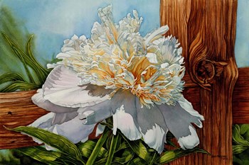 White Flower by Jane Freeman art print