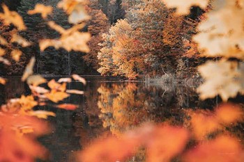 Autumn Reflections by Laura Marshall art print