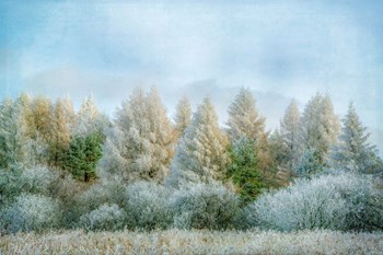 Winter Wonderland by Brooke T. Ryan art print