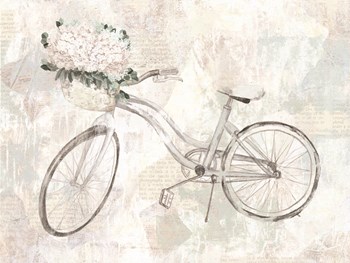 Bicycle Dream by Dogwood Portfolio art print