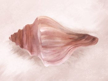 Conch Shell Blush I by House Fenway art print