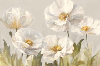 White Anemones by Danhui Nai art print