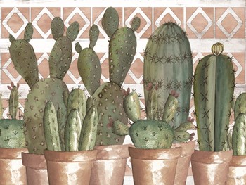Geo Succulents by Cindy Jacobs art print