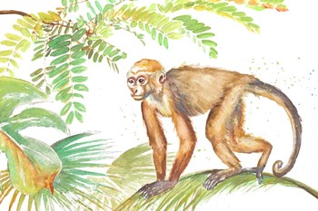 Monkey Roaming In The Jungle by Patricia Pinto art print