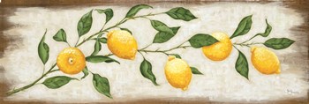 Lemon Branch by Hollihocks Art art print