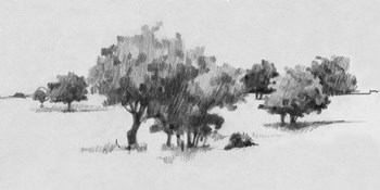 Treeline Sketch II by Emma Caroline art print