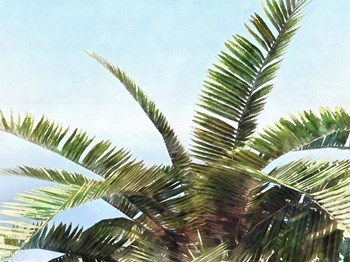 Pleasant Palms I by Alonzo Saunders art print