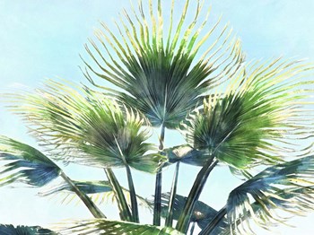 Pleasant Palms II by Alonzo Saunders art print