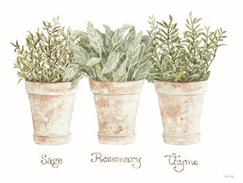 Herb Trio by Cindy Jacobs art print