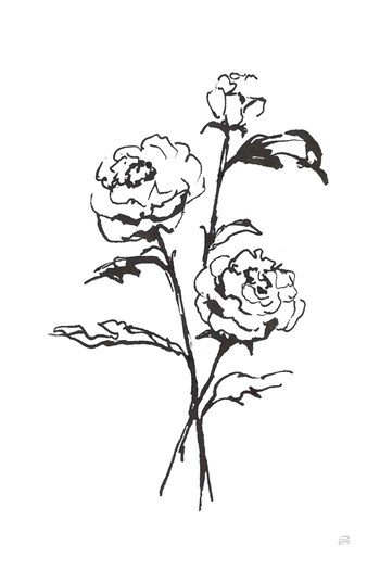 Line Ranunculus I by Chris Paschke art print