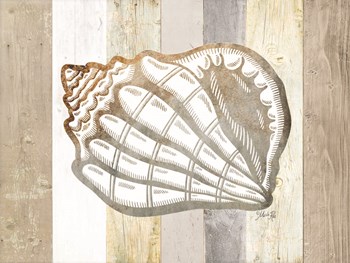 Coastal Shell I by Marla Rae art print