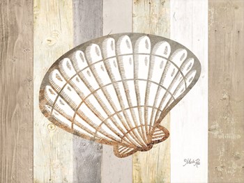 Coastal Shell II by Marla Rae art print