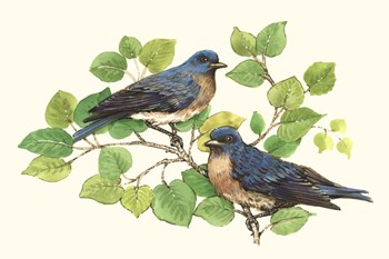 Song Birds I by Timothy O&#39;Toole art print