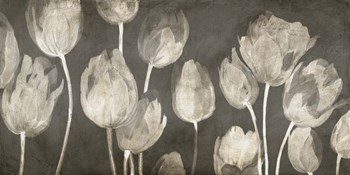 Washed Tulips by Luca Villa art print