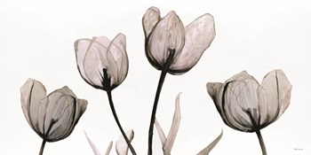 Floral Simplicity by Stellar Design Studio art print