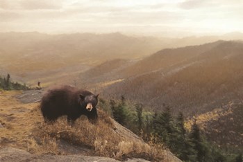 Bear Country by Lori Deiter art print