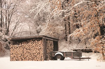 Firewood Shed by Lori Deiter art print