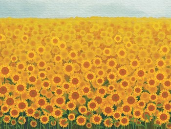 Field of Sunflowers by Seven Trees Design art print