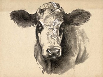 Charcoal Cow I by Jennifer Parker art print