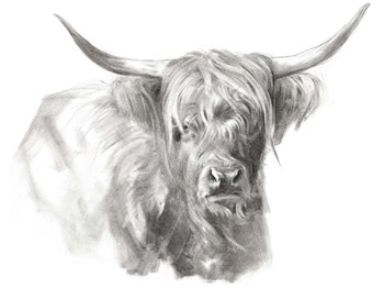 Soft Focus Highland Cattle I by Jennifer Parker art print