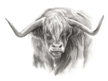 Soft Focus Highland Cattle II by Jennifer Parker art print
