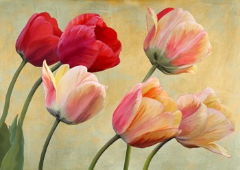 Golden Tulips (detail) by Luca Villa art print