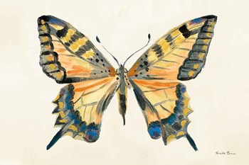 Butterfly Study II by Farida Zaman art print