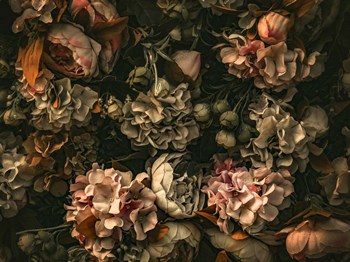 Dark Floral Arrangement by Incado art print