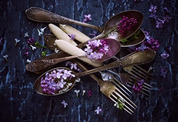 Spoons &amp; Flowers by Aleksandrova Karina art print
