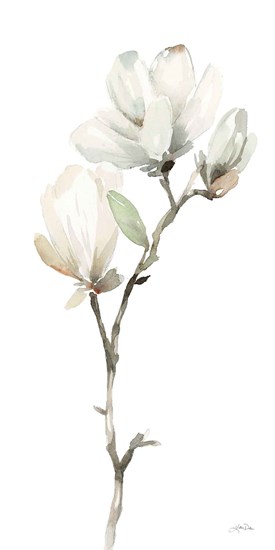 White Magnolia II by Katrina Pete art print