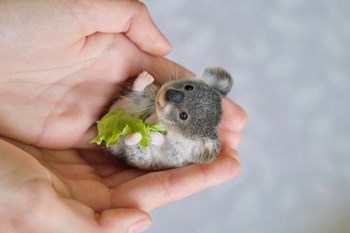 Baby Koala by Pixelmated Animals art print