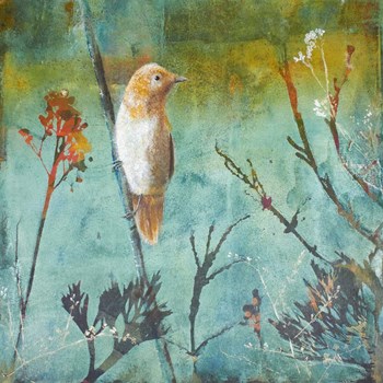 Australian Reed Warbler by Trudy Rice art print