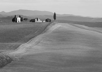 Val d&#39;Orcia, Siena, Tuscany (BW) by Pangea Images art print