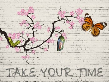 Take Your Time by Masterfunk Collective art print