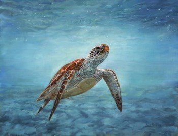 Sea Turtle by David Stribbling art print