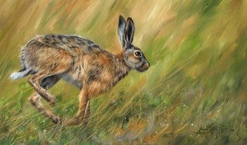 Wild Hare Running by David Stribbling art print