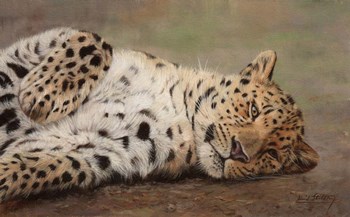 Resting Leopard by David Stribbling art print