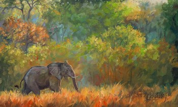Elephant Trees by David Stribbling art print