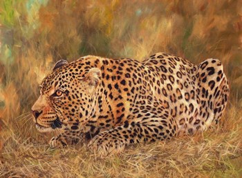 Leopard About To Pounce by David Stribbling art print