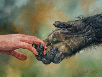 Hands by David Stribbling art print