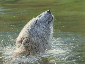 Polar Bear Splash by David Stribbling art print