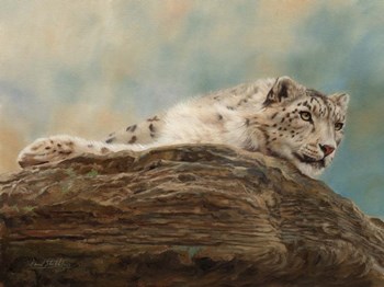 Snow Leopard 14 by David Stribbling art print