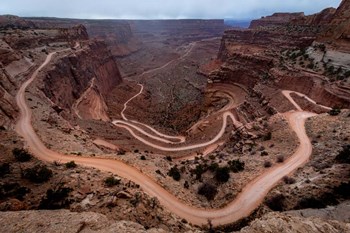 Arizona Trail by Jeff Poe Photography art print