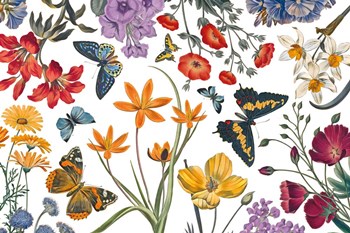 Butterfly Garden VI by Wild Apple Portfolio art print
