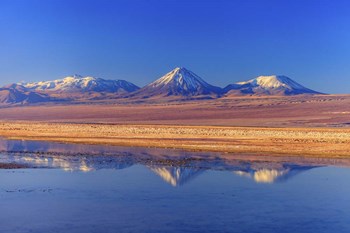 Licancabur Stratovolcano Reflected in Laguna Tebinquinche, Chile by Giulio Ercolani/Stocktrek Images art print