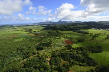 Wailua River State Park, Kauai, Hawaii by Ryan Rossotto/Stocktrek Images art print