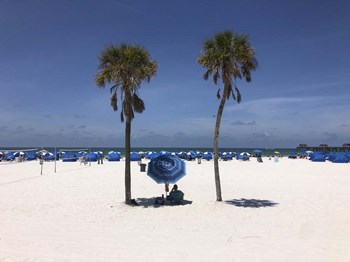 Umbrella, Chairs and Palm Trees on Clearwater Beach, Florida by Ryan Rossotto/Stocktrek Images art print