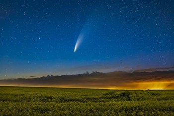 Comet NEOWISE Over a Ripening Canola Field in Southern Alberta by Alan Dyer/Stocktrek Images art print