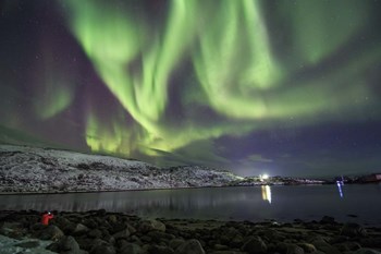 Aurora Borealis Dances Above the Arctic Ocean From Teriberka, Murmansk, Russia by Jeff Dai/Stocktrek Images art print